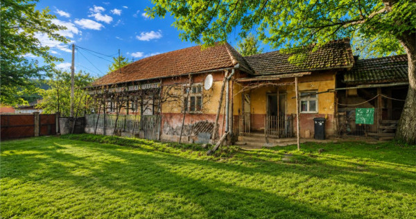 FILM! Casa si anexe, pe domeniu de 6.221mp, livada pomi fru