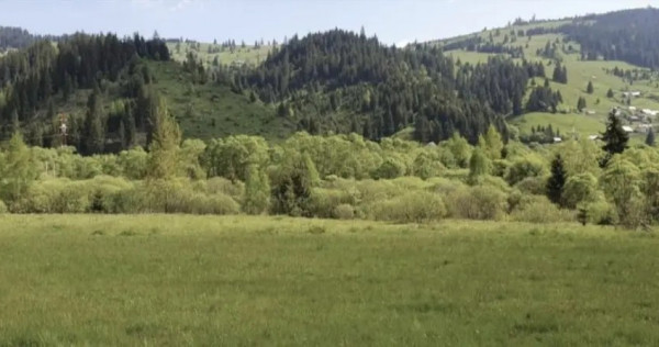 Vand teren in Vatra Dornei (strada Rosu) 1000mp