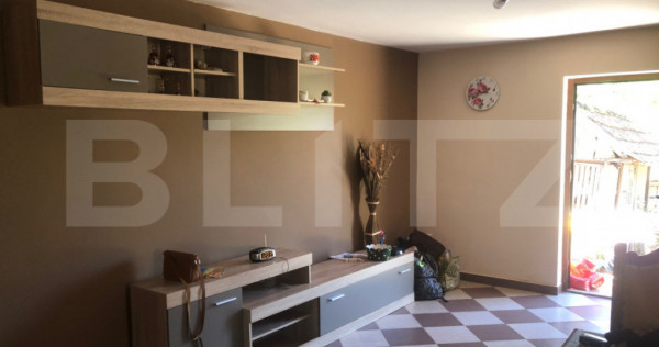 Doua case intr-o curte, teren 3700 mp, zona Supuru de Sus