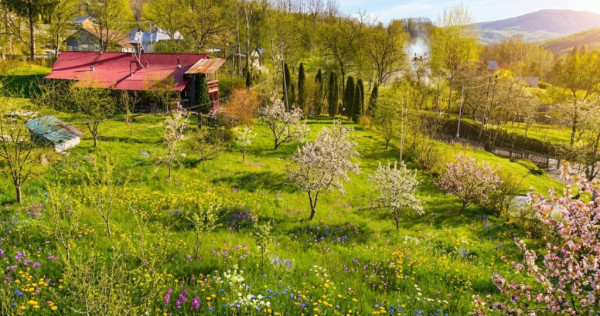 Teren intravilan Slanic Prahova