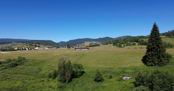TEREN IN BUCOVINA DE V#194;NZARE | #536;ARU DORNEI VATRA DOR