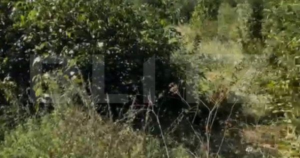 Teren intravilan, 1.539 mp, zona Valea Voievozilor