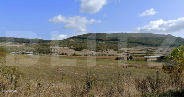 Teren 1,57 hectare, cu deschidere la DN17, zona Sieu Magheru