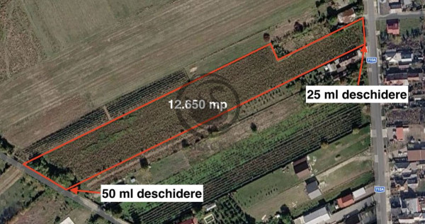 Teren intravilan de vanzare | 12.650 mp | Ghirdoveni | Co...