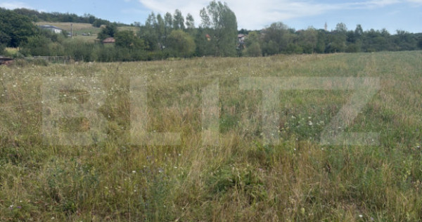Teren extravilan, 22.183 mp, zona Simleu Silvanei