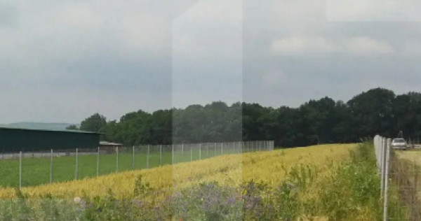 Teren intravilan, 2.561 mp, zona Padurea Lebada