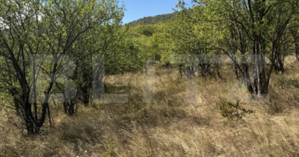 Teren intravilan de vanzare, 1.400 mp, zona Viile Noi
