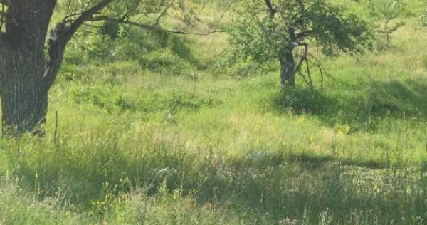Teren v&acirc;nzare 1,73 ha