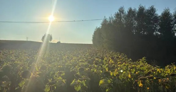Teren 2600 mp Cumpărătura, ușor negociabil