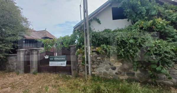 Casa de vanzare, 153 mp, teren 5000 mp, zona Cartiu-Turcines