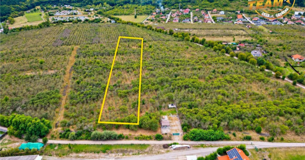 Teren extravilan, 6.510mp, Simeria, Sfantu Gheorghe
