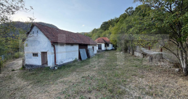 Casa de vanzare, 295 mp, teren 3.596 mp, zoan Hondol