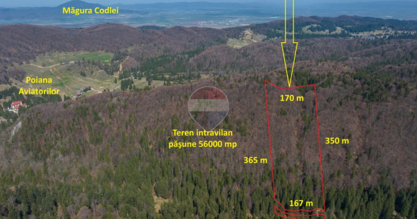 Teren intravilan, 56000 mp, Poiana Braşov