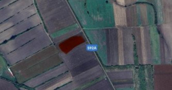 Teren extravilan 23.200 mp in Sacosu Turcesc