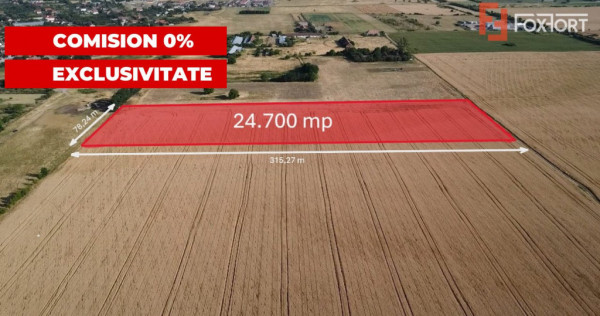 COMISION 0% Teren de vanzare intravilan de 24.700 mp - Padur