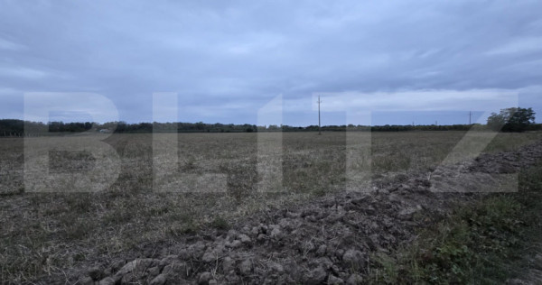 Teren extravilan, 17.545 mp, zona Est