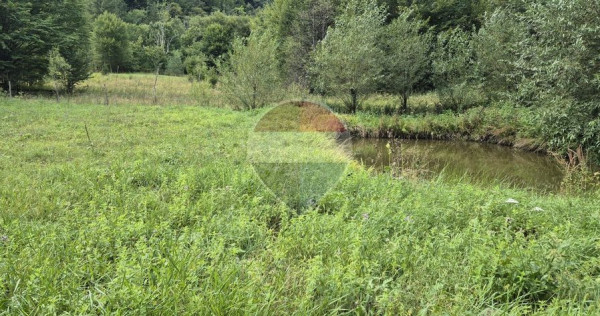 Teren de vis de 2.800 mp pe Valea Tărcăului &ndash; Cu lac natural și pădure