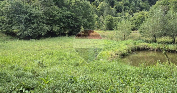 Teren de vis de 2.800 mp pe Valea Tărcăului &ndash; Cu lac natural și pădure