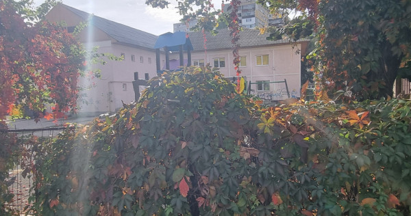 Apartament 2 camere, renovat, mobilat-utilat, Alecu Russo- G