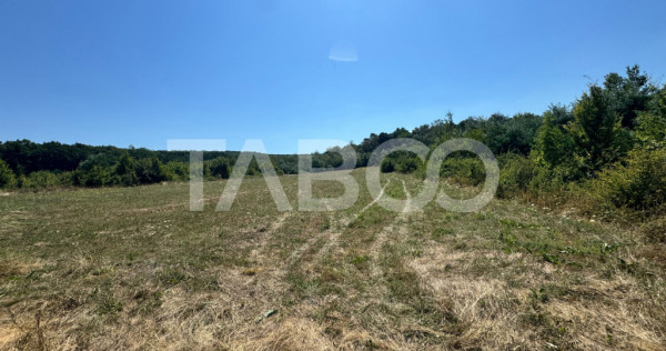 Teren extravilan 2700 mp oportunitate investitie Calea Popla