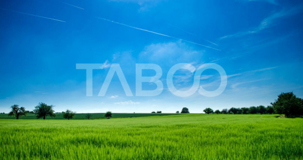 Teren de vanzare 9369 mp langa viitoarea centura Sud a Sibiu