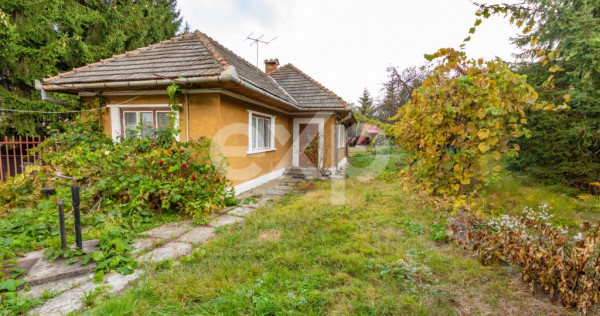 Cămin autentic &icirc;n Baciu, Săcele &ndash; 90 mp utili, curte ș
