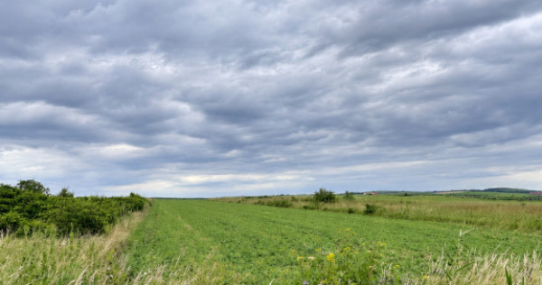 Teren intravilan 5.700 mp | Copăceni, Cluj | DN1 |