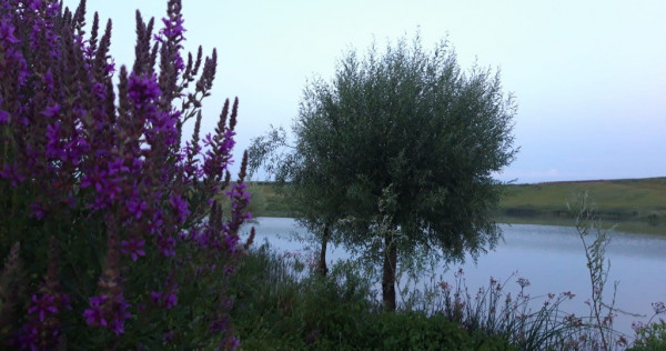 Teren pe malul lacului Mostistea(47 km de Bucuresti) 8714mp
