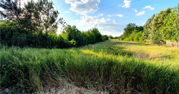 EXCLUSIV! 1 hectar de teren in Valea Ursului, la strada pr