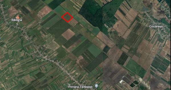 Teren agricol 13,5 hectare | Tartasesti | Ciocanesti | DB