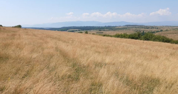 Teren agricol de vanzare in Sibiu zona Centrului de echitati