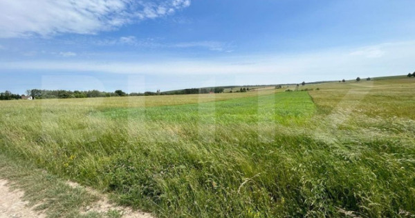 Teren cu suprafata de 8000mp ,situat in Mitocu Dragomirnei,z