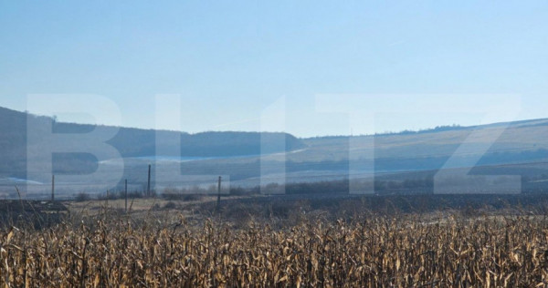 Oportunitate: 50 Ha de Teren Ideal pentru Agricultură sau P