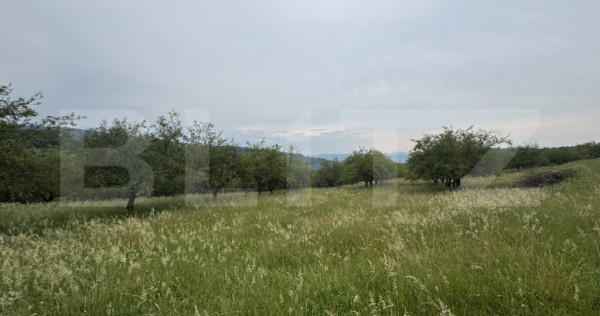 Teren extravilan 24.150 mp in zona Dorolea