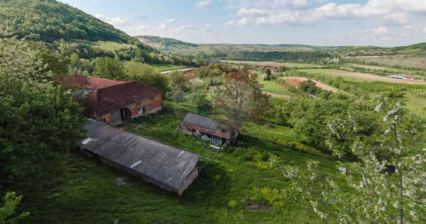 Casă Țărănească cu Teren 8 Ha, 10 Camere în Munții...