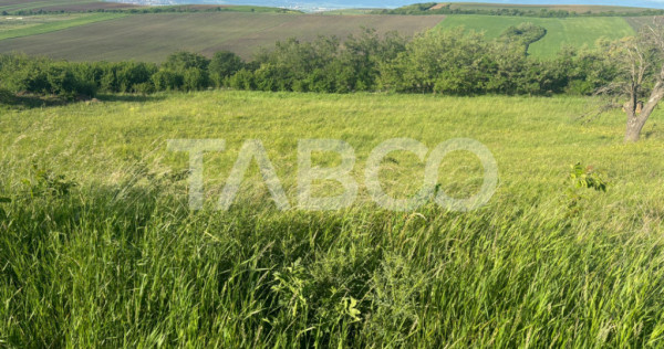 Teren de vanzare intravilan 8900mp Sura Mare zona deosebita