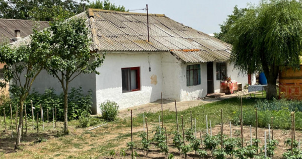 Casă de v&acirc;nzare &icirc;n Mihail Kogălniceanu | Locuință spa?