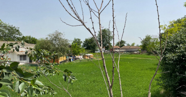 Casă de v&acirc;nzare &icirc;n Mihail Kogălniceanu | Locuință spa?