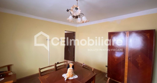 Apartamente de vânzare Lugoj