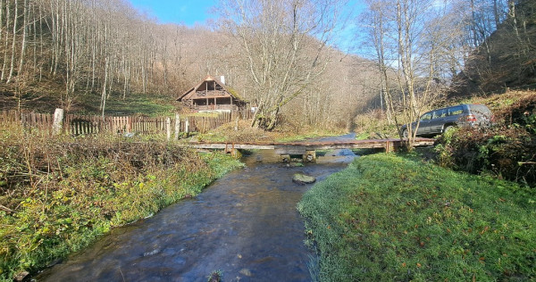 Casa din lemn cu iesire direct pe Transalpina / Sugag, Alba