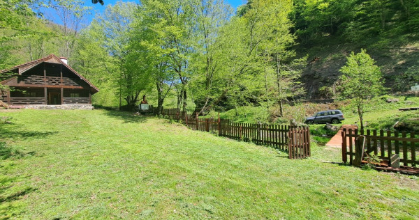 Casa din lemn cu ieșire direct pe Transalpina / Sugag, Alba