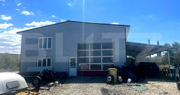 Teren 5000 mp cu hala de 280 mp in Isalnita, cu deschidere l