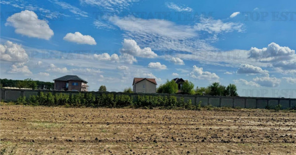 Teren de lotizat la padure cu utilitati in Frumusani / Cala