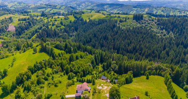 Teren Intravilan in Bran, Brasov (Oaza Ta de liniste la Munt