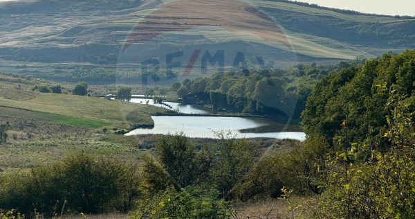 Teren cu pârâu | 50,000 mp | zona Caianu-Vama | la lizi...