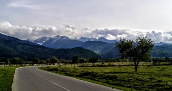 Teren intravilan in Statiunea Climaterica Sambata de Sus, 1000mp