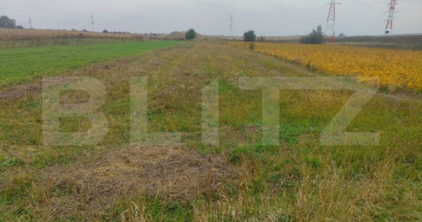 Teren extravilan 2600 mp, Calea Cernauti, Radauti