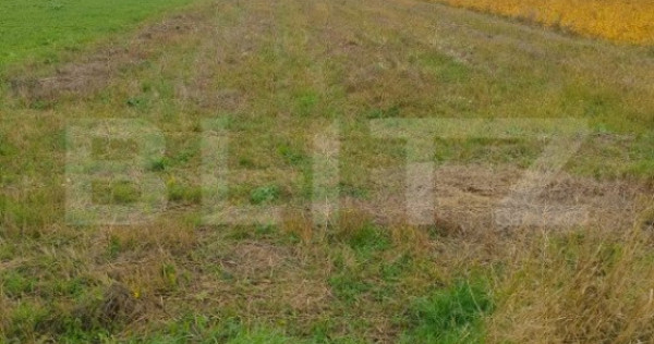 Teren extravilan 2600 mp, Calea Cernauti, Radauti