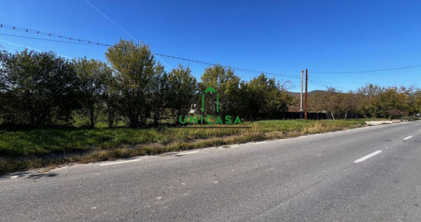 Teren intravilan/Str Balciului/Copacelu