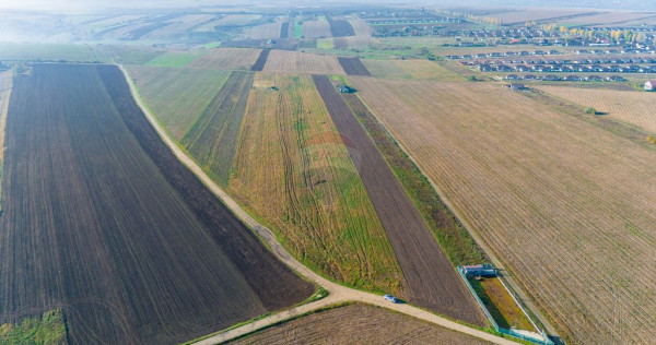 Teren 15,000mp Vorovesti / Strada Militari